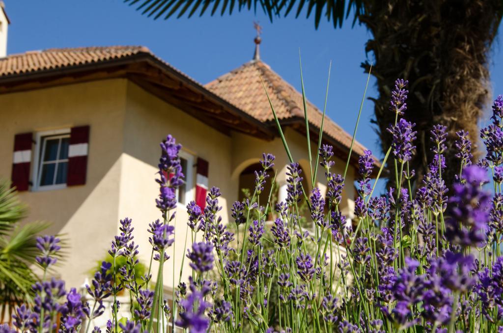 Apartment Leuchtenhof Caldaro